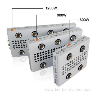 Daisy Chain 3000W 5000W Led Grow Light